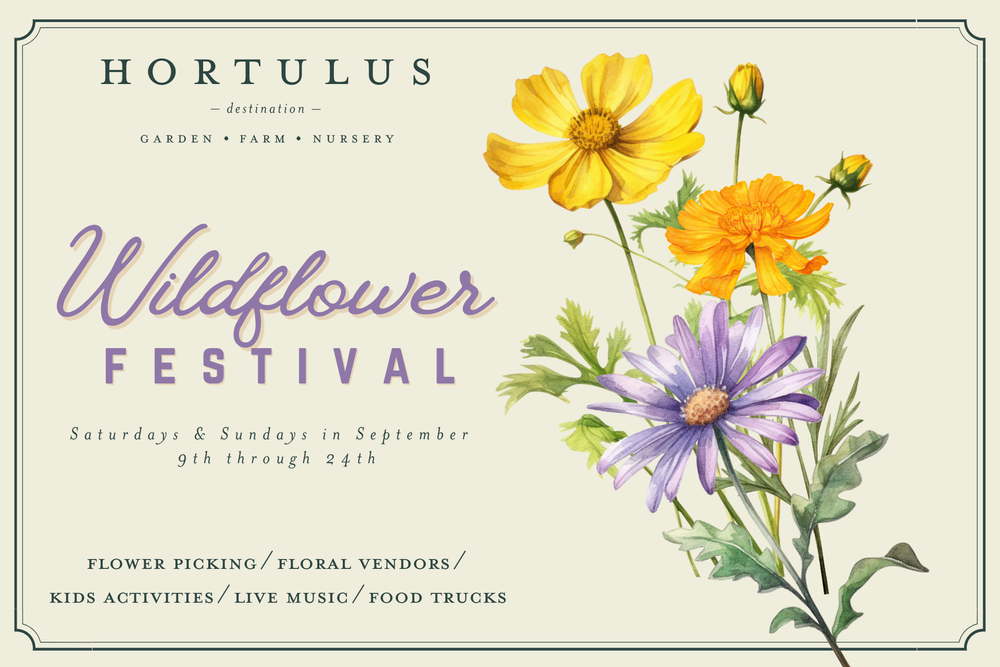 Wildflower Weekends — Hortulus Foundation